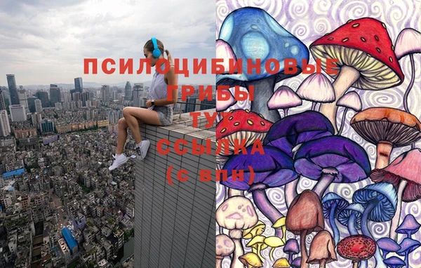 гашиш Богданович