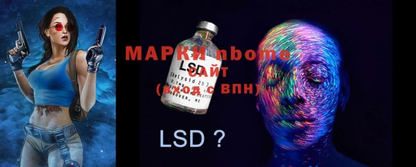 гашиш Богданович