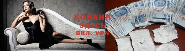 гашиш Богданович