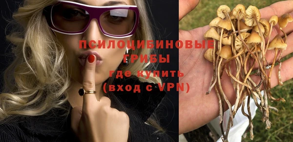 гашиш Богданович