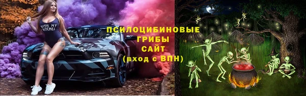 ГАЛЛЮЦИНОГЕННЫЕ ГРИБЫ Богородицк