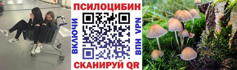 Купить закладки  Кинель  Галлюциногенные грибы прущие грибы 